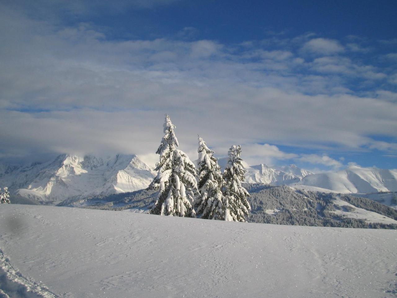 Alp-Hotel Megève Dış mekan fotoğraf